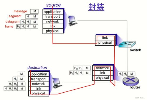 計算機(jī)網(wǎng)絡(luò)與因特網(wǎng) 網(wǎng)絡(luò)與信息安全軟件開發(fā)的關(guān)鍵基礎(chǔ)