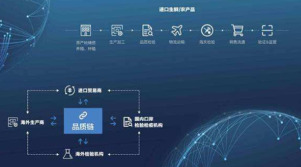 區(qū)塊鏈防偽溯源系統(tǒng)的設(shè)計與信息安全開發(fā)解決方案